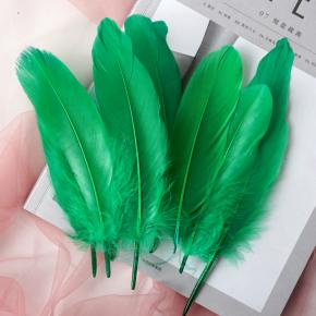 color hard goose feather