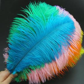 Customized Dyed Large Ostrich Feather For Party Wedding Decoration