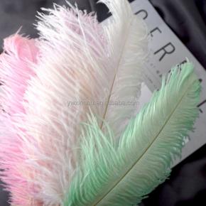 New Arrival Beautiful Customized Dyed Large Ostrich Feather For Party Wedding Decoration